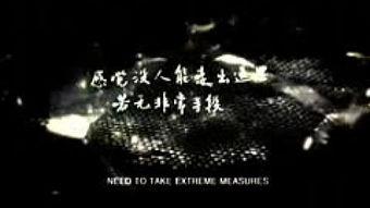 电影踢到宝背景音乐,旋律中的足球传奇